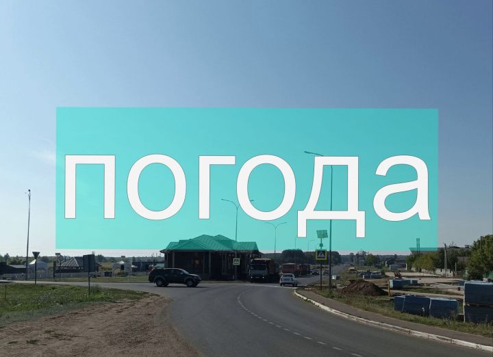 Погода на четверг 24 августа