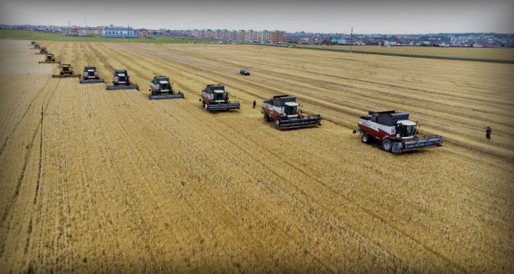 Первый миллион тонн зерна был намолочен в Татарстане