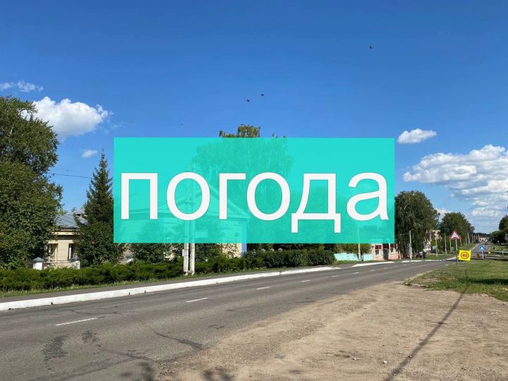Погода на пятницу 4 августа