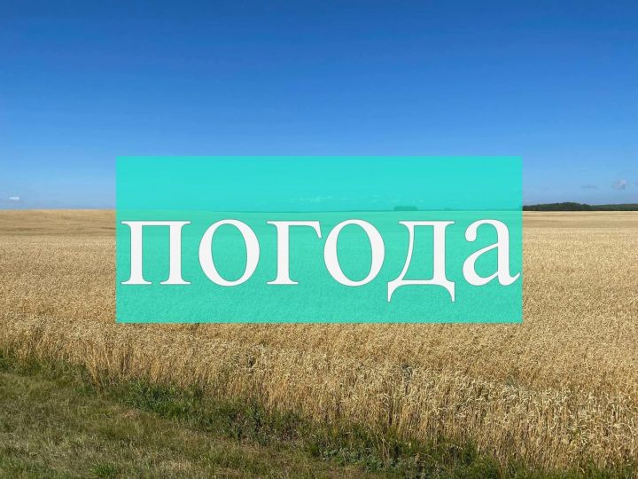 Погода на четверг 10 августа