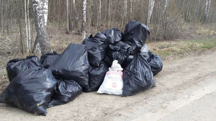 В Татарстане начался двухмесячник по очистке леса от мусора