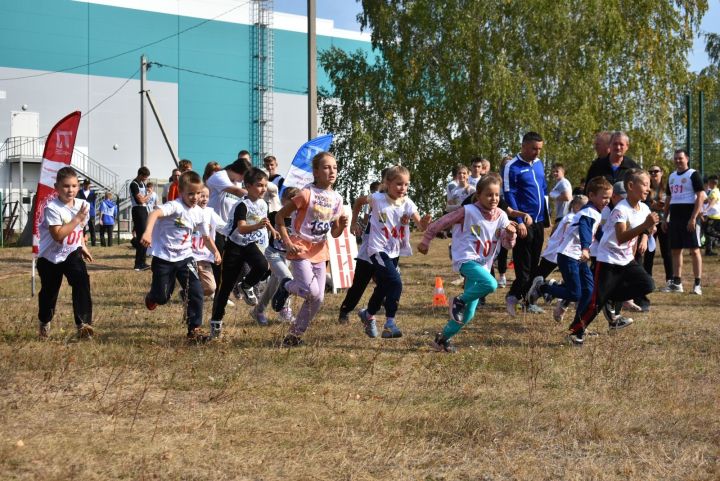 Спас районында «Татарстан кроссы» узды