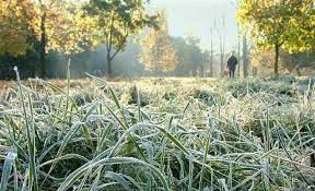 Жителей Татарстана предупредили о наступающих заморозках