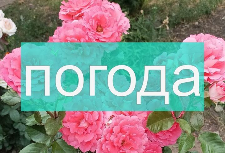 Погода на субботу 23 сентября