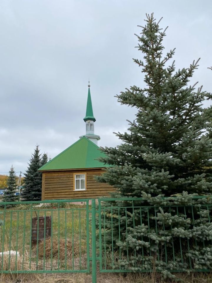 Спас район халкы Татарстандагы Гошер көнендә актив катнашты