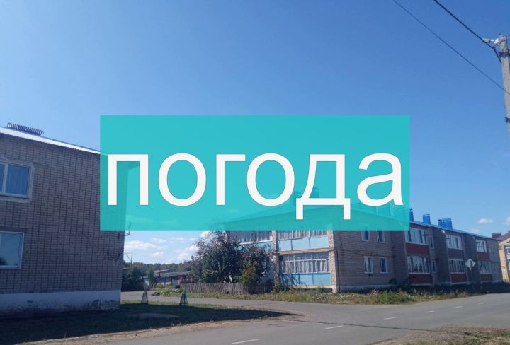 Погода на 6 сентября в Спасском районе