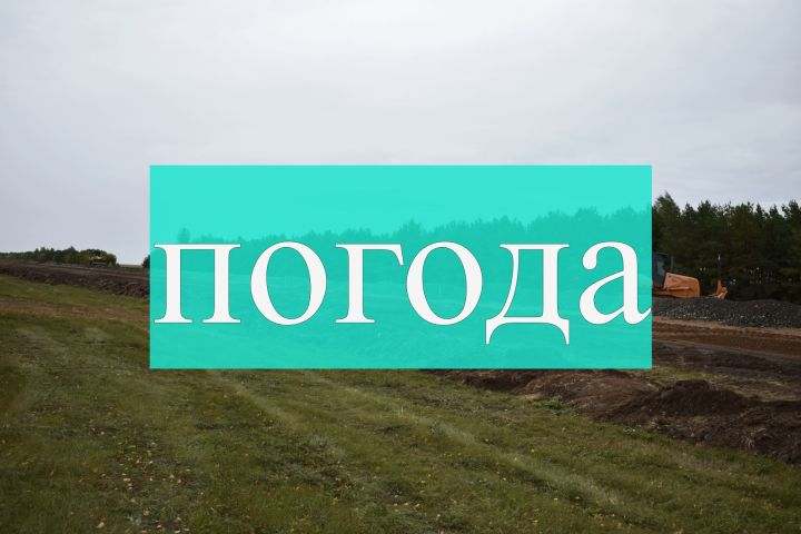 Погода на 7 сентября