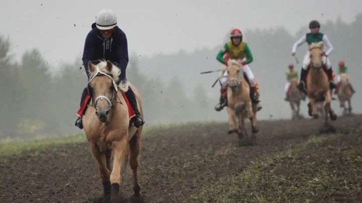 В селе Новый Кырлай Арского района пройдет конно-спортивный праздник День Коня