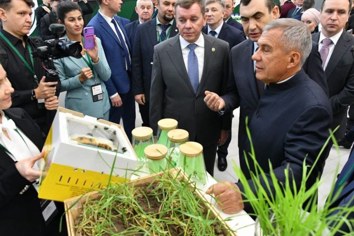 В Татарстане подводятся итоги года в отрасли сельского хозяйства