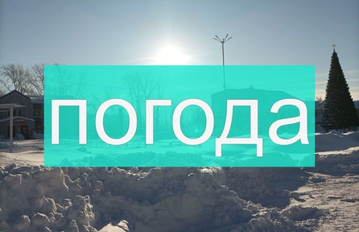 Погода на среду 31 января