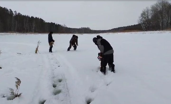 На Куйбышевском водохранилище прошла акция «Рыбе быть!»