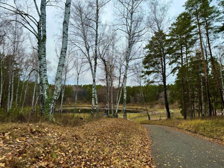 В Татарстане объявлено штормовое предупреждение и опасность гололёда