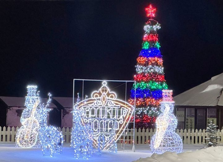 Татарстанцы рассказали, что будут готовить к новогоднему столу