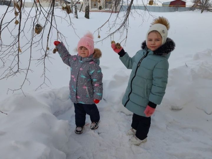 В детских садах и школах Спасского района продолжается акция «Покормите птиц зимой!»