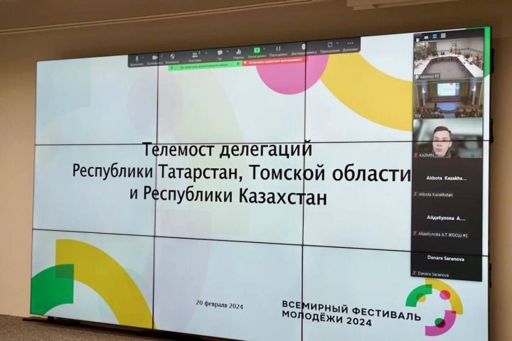 Молодёжь из Татарстана присоединилась к телемосту, посвящённому подготовке к Всемирному фестивалю молодёжи