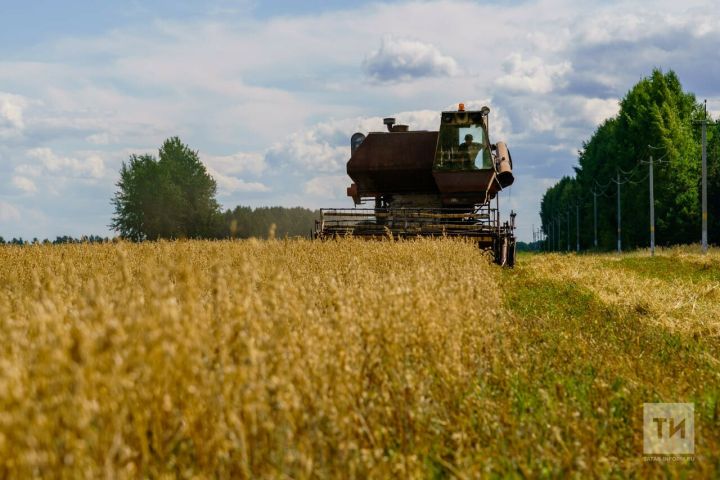 Управление Росреестра провело обследование более 1 миллиона гектаров сельскохозяйственных земель