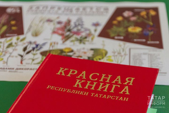 В 2025 году планируется выпуск нового издания Красной книги Республики Татарстан