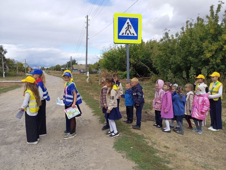 51 год воспитания и безопасности на дорогах