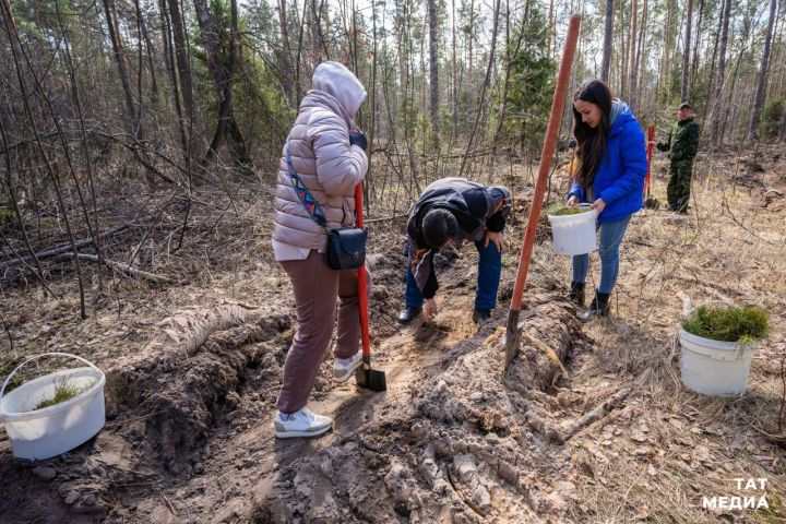 Татарстанцы приглашаются посадить дерево в честь участника Великой Отечественной войны
