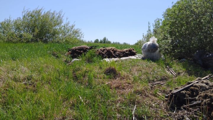 Нерест на Волге прошел успешно