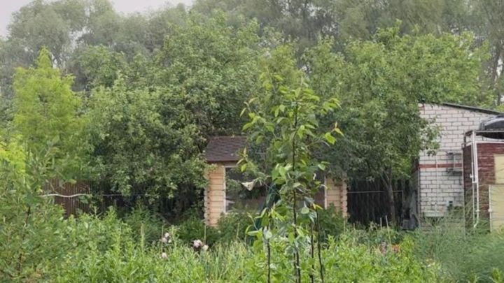 Владельцы садоводческих и огороднических товариществ могут претендовать на субсидии от государства