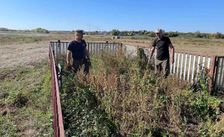 Поисковики Татарстана развернули полевой лагерь на берегу Актая