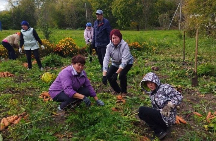 В школе села Кузнечиха вырастили богатый урожай корнеплодов