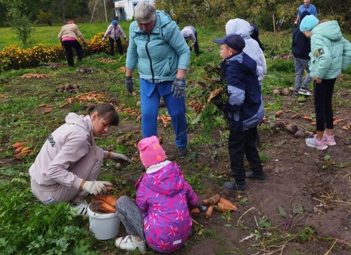 В школе села Кузнечиха вырастили богатый урожай корнеплодов