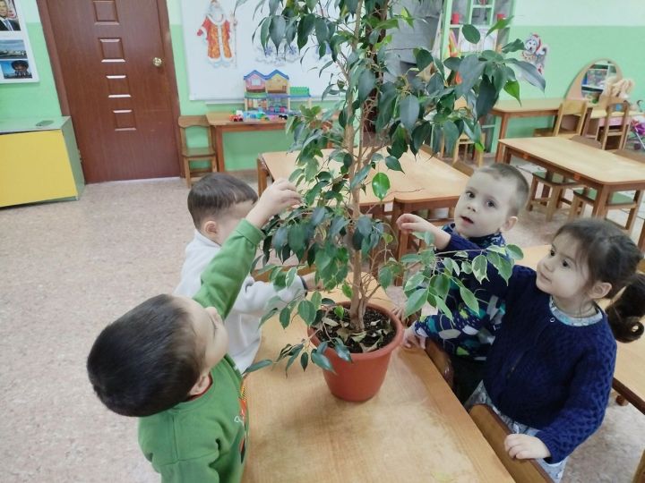 «День благодарности к комнатным растениям» прошел в детском саду в Болгаре