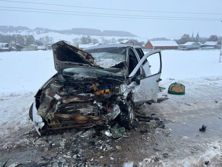 Два маленьких ребенка получили травмы в ДТП в Татарстане