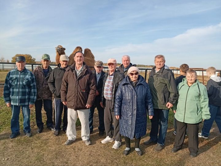 Подопечные Спасского ДИПИ посетили верблюжью ферму