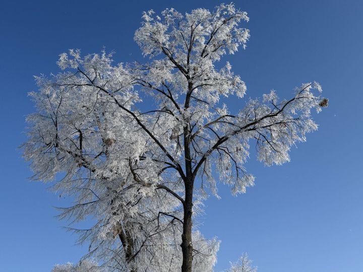 24 февраля – Власьев день: народные приметы и запреты