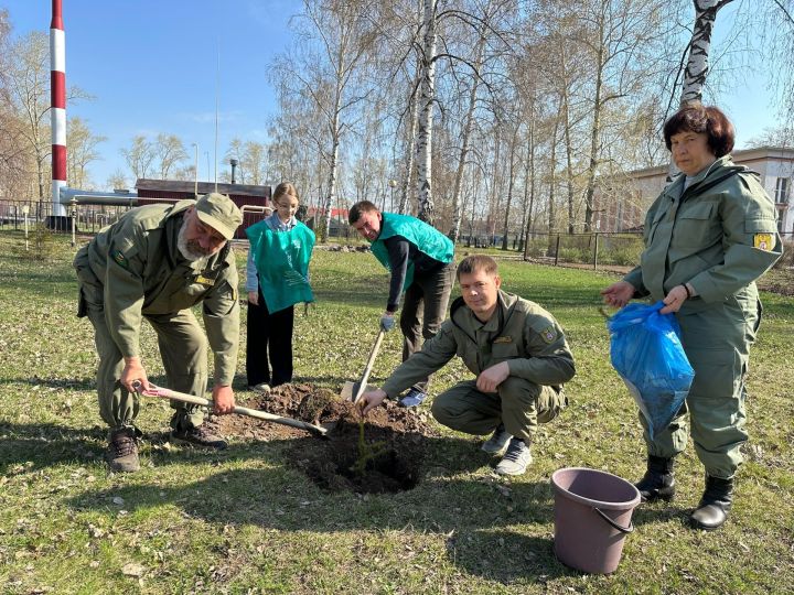 В Болгаре прошла экологическая акция «Подари Земле сад»