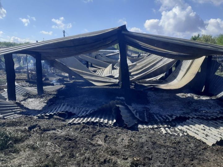 В селе Измери Спасского района произошёл пожар