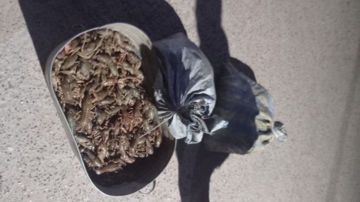 В Болгаре задержали браконьеров с 2740 раками