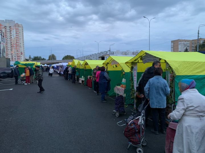Спасские аграрии представили свою продукцию на республиканской ярмарке в Казани