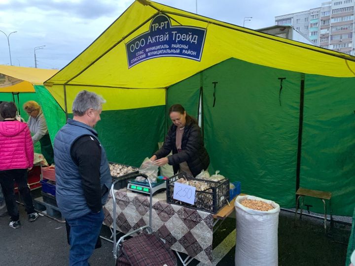 Спасские аграрии представили свою продукцию на республиканской ярмарке в Казани