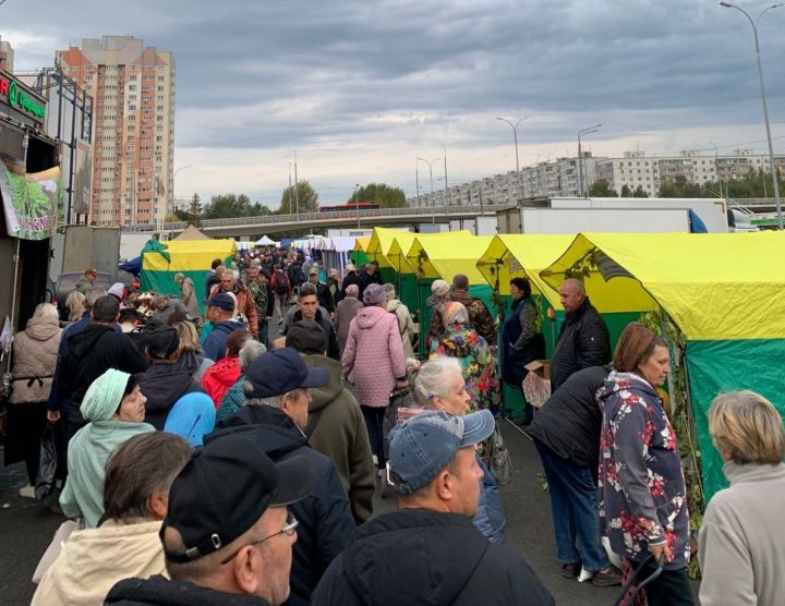 Спасские аграрии представили свою продукцию на республиканской ярмарке в Казани