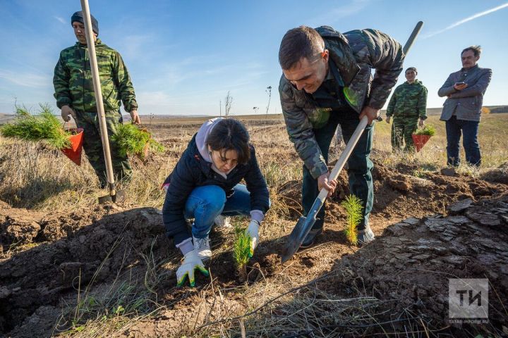 Жители Татарстана могут принять участие в природоохранной акции «Сохраним лес»