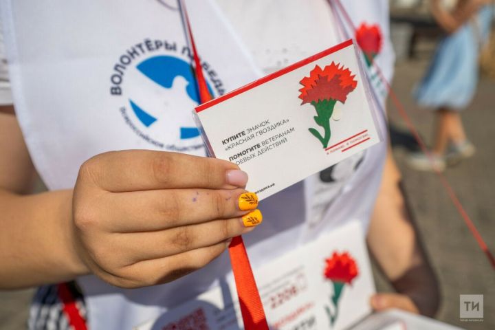 Татарстанда яшәүчеләр «Кызыл канәфер» акциясендә катнашып, ветераннарга ярдәм итә ала
