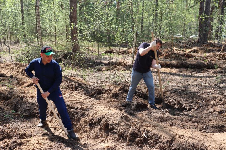 В Лаишевском районе появилась тысяча живых памятников героям войны