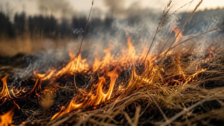 Спас районында эссе вакытта янгын куркынычсызлыгы кагыйдәләре турында искә төшерделәр